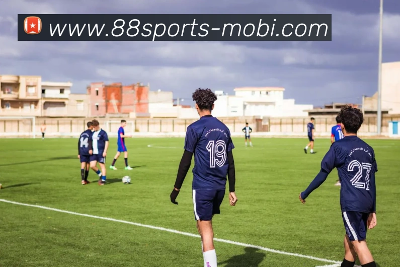 88体育平台生态图