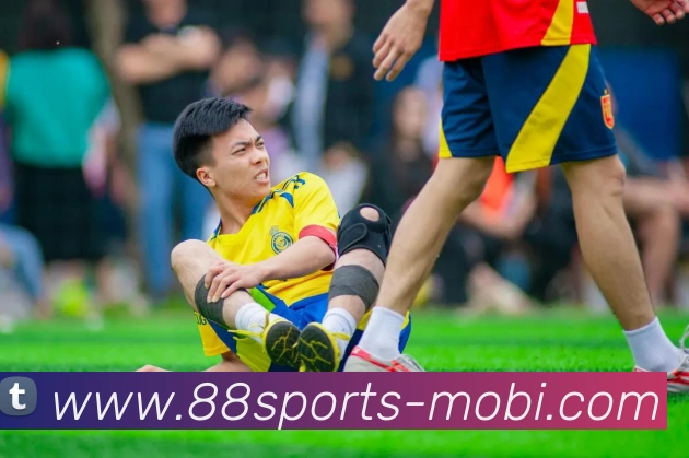 88体育APP 封面图